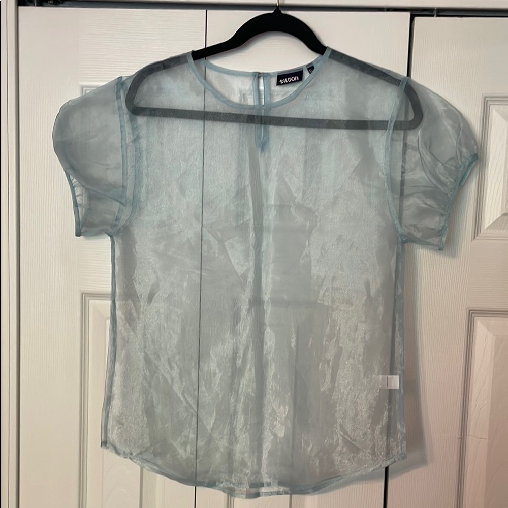 Tildon baby blue Sheer Puff Sleeve Blouse
